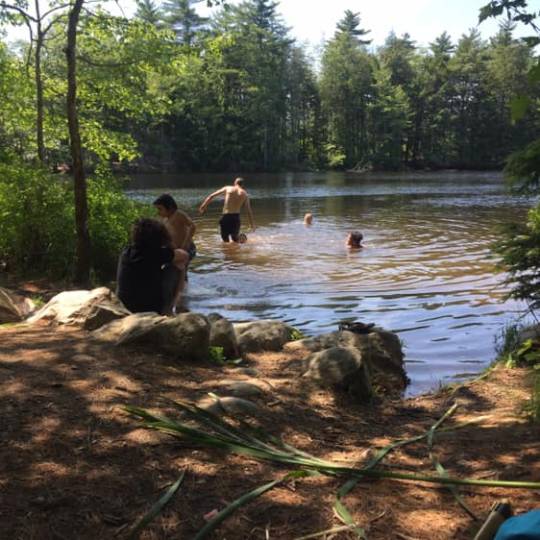 Swimming at Camp Forest